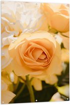 Tuinposter – Geel/Oranje Kleurige Rozen - 100x150cm Foto op Tuinposter  (wanddecoratie voor buiten en binnen)
