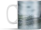 Mok - Noordzee - Zeehond - Water - 350 ml - Beker