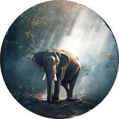 Olifant in oerwoud - Foto op Behangcirkel - ⌀ 100 cm