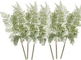 6x Kunstplanten bosvaren takken 58 cm groen - 6x kunsttakken Bosvaren