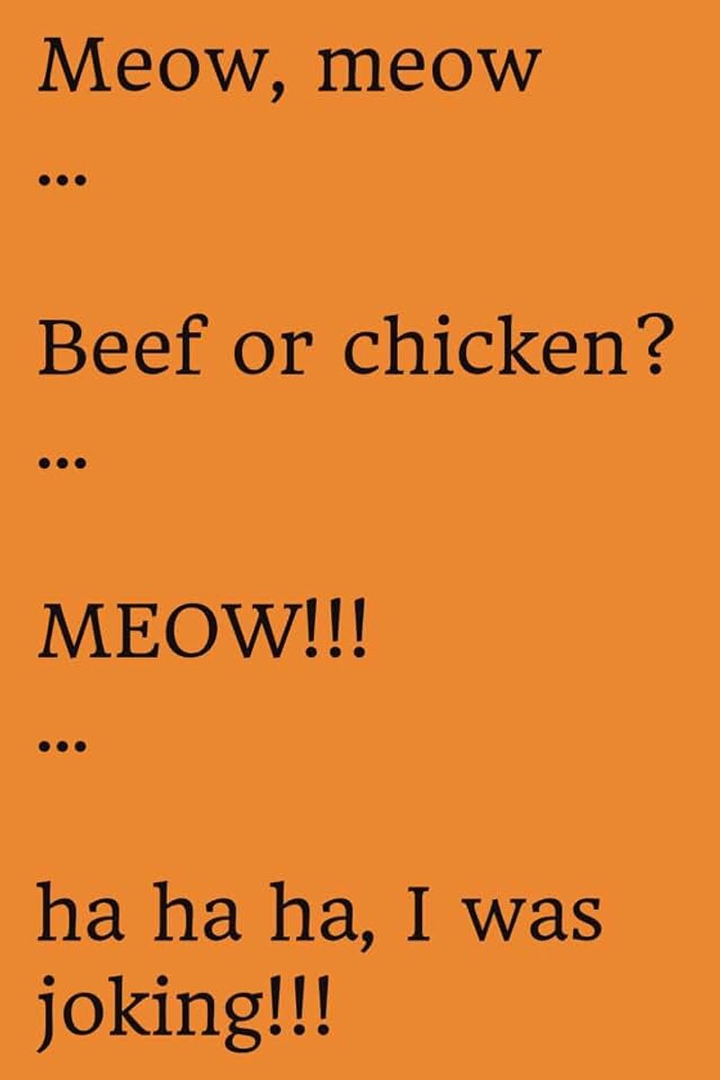 Meow, meow … Beef or chicken? … MEOW!!! … ha ha ha, I was joking!!!