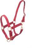Rood halster met gouden gespen en ringen.
