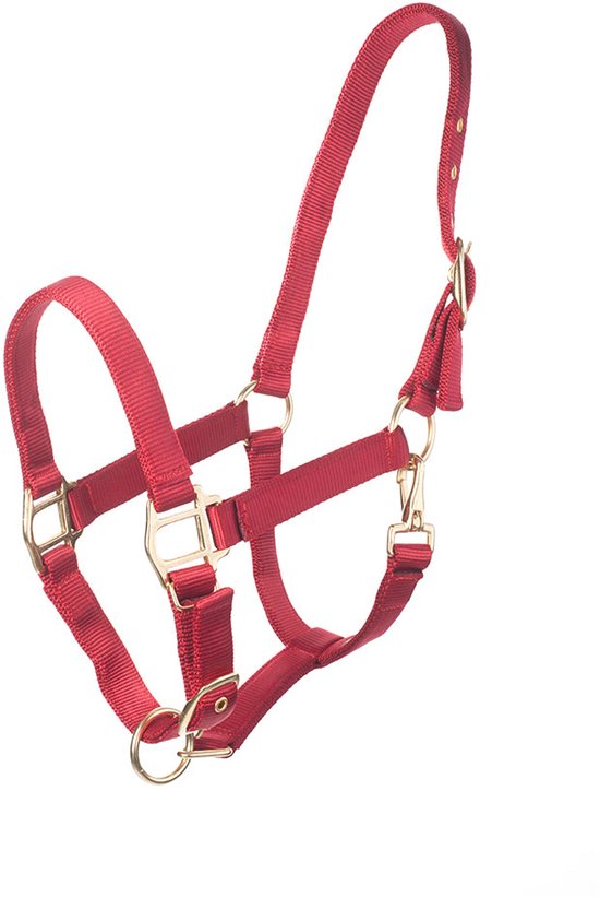 Rood halster met gouden gespen en ringen.