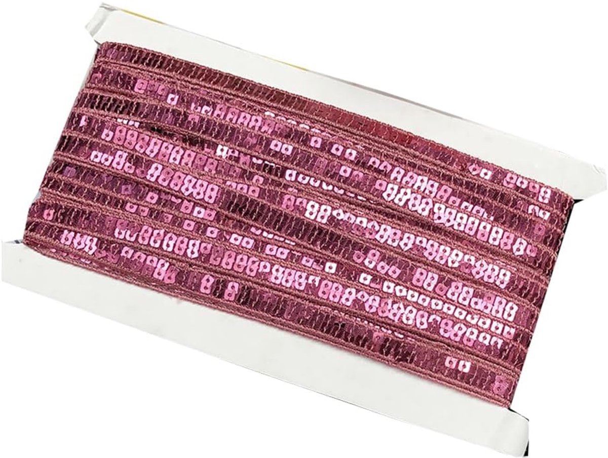 Paillettenlint 5 yards x 10 mm (2 rijen) pailletten afwerking glitter metallic trim voor naaien knutselen paillettenstrepen boord lint decoratief lint voor kleding doe-het-zelf kunst handwerk