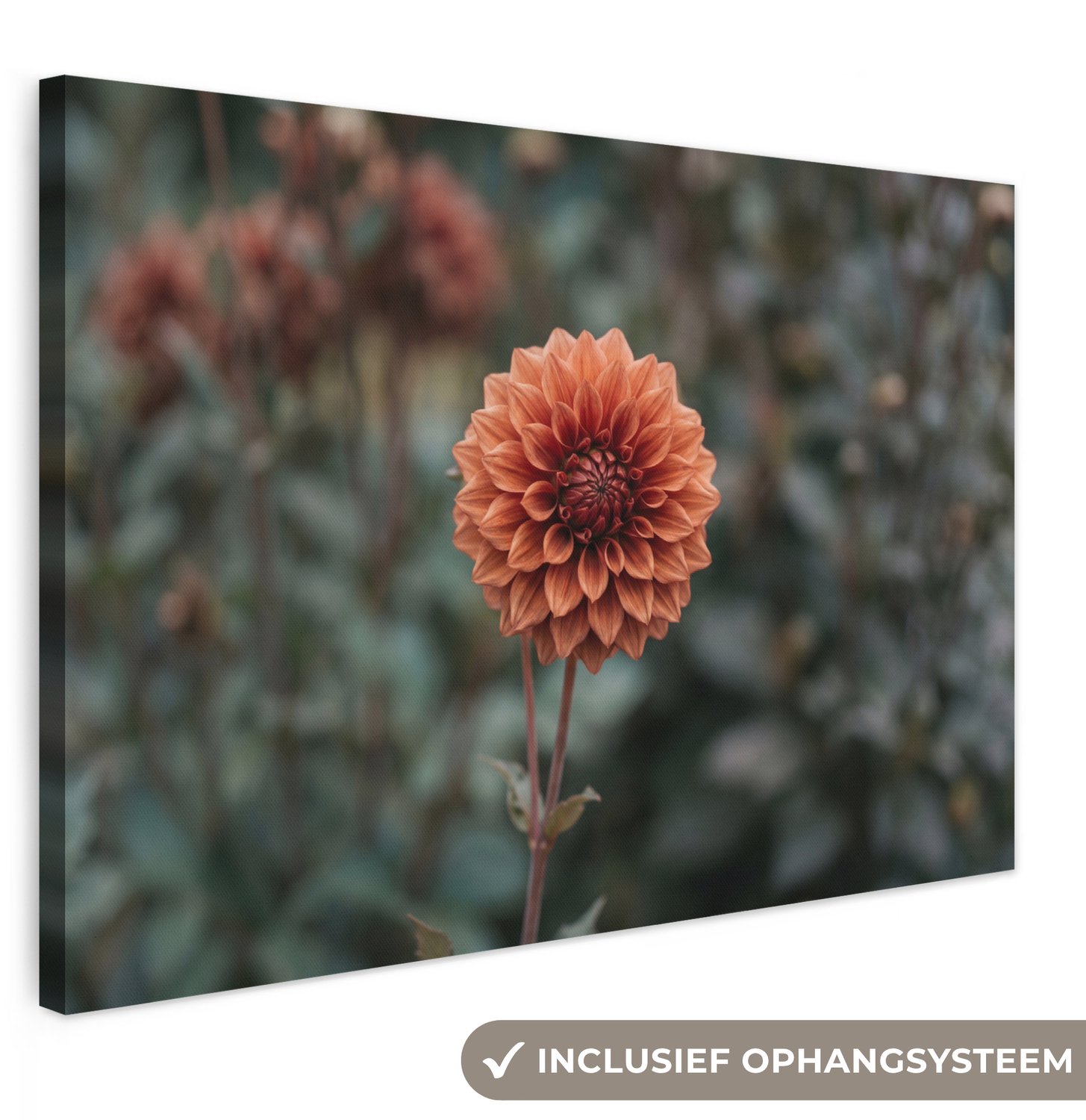 Canvas schilderij 150x100 cm - Exclusieve wanddecoratie Dahlia - Bloem - Natuur - Sfeervol - Muurdecoratie woonkamer - Slaapkamer decoratie - Kamer accessoires - Schilderijen op canvas groot XXL