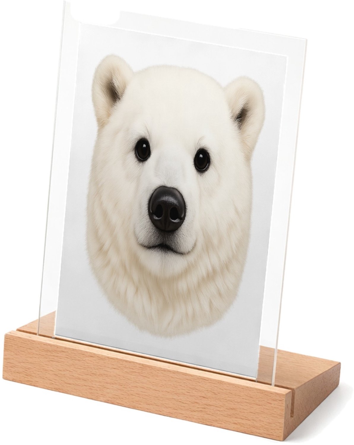 Mr Cadeautjes Glasframe met vaste tekst - design Een opvallende kopillustratie met zachte pluche-textuur en e | cadeau Wit