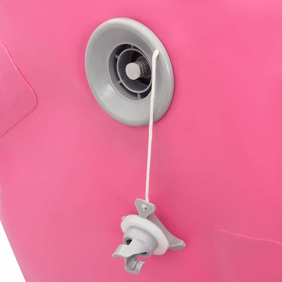 vidaXL - Gymnastiekrol - met - pomp - opblaasbaar - 100x60 - cm - PVC - roze van VidaXL — afbeelding 5