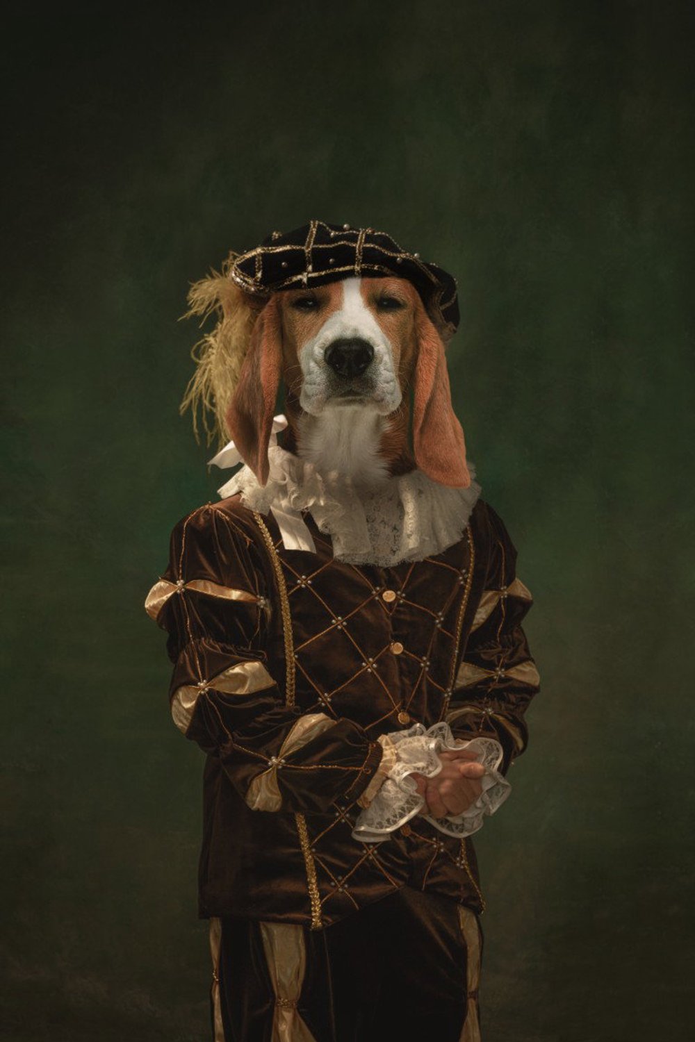 Vgdesign Hond als edelman 50x70 cm tuinposter banner VGDesign onbekend