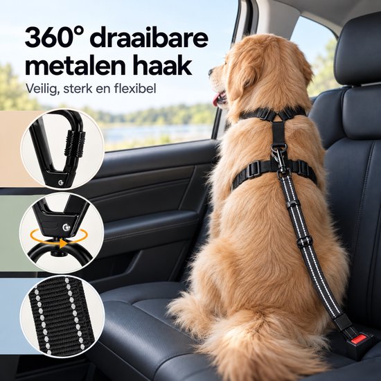 Gouden retriever draagt zwarte hondengordel met 360° draaibare metalen haak en reflecterende band.