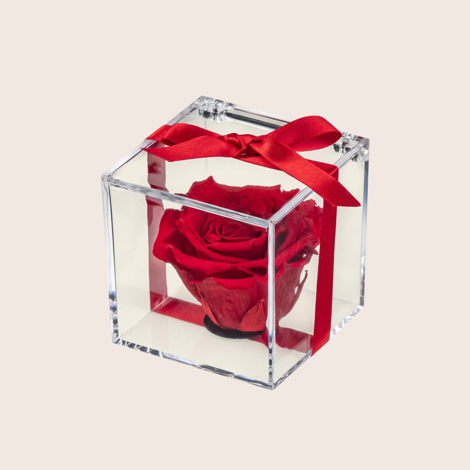 Charle Roses Crystal - Houdbare Roos in Transparante Kubus - Longlife Roos - Cadeau voor Haar