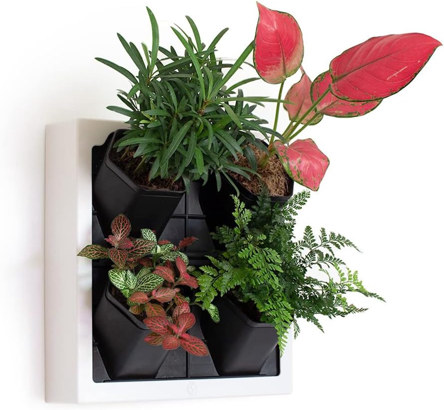 Zelfbewaterende muurplanter met 4 potten - eenvoudig te maken indoor living muur voor thuis, kantoor en winkel front - inclusief watermeter (wit)