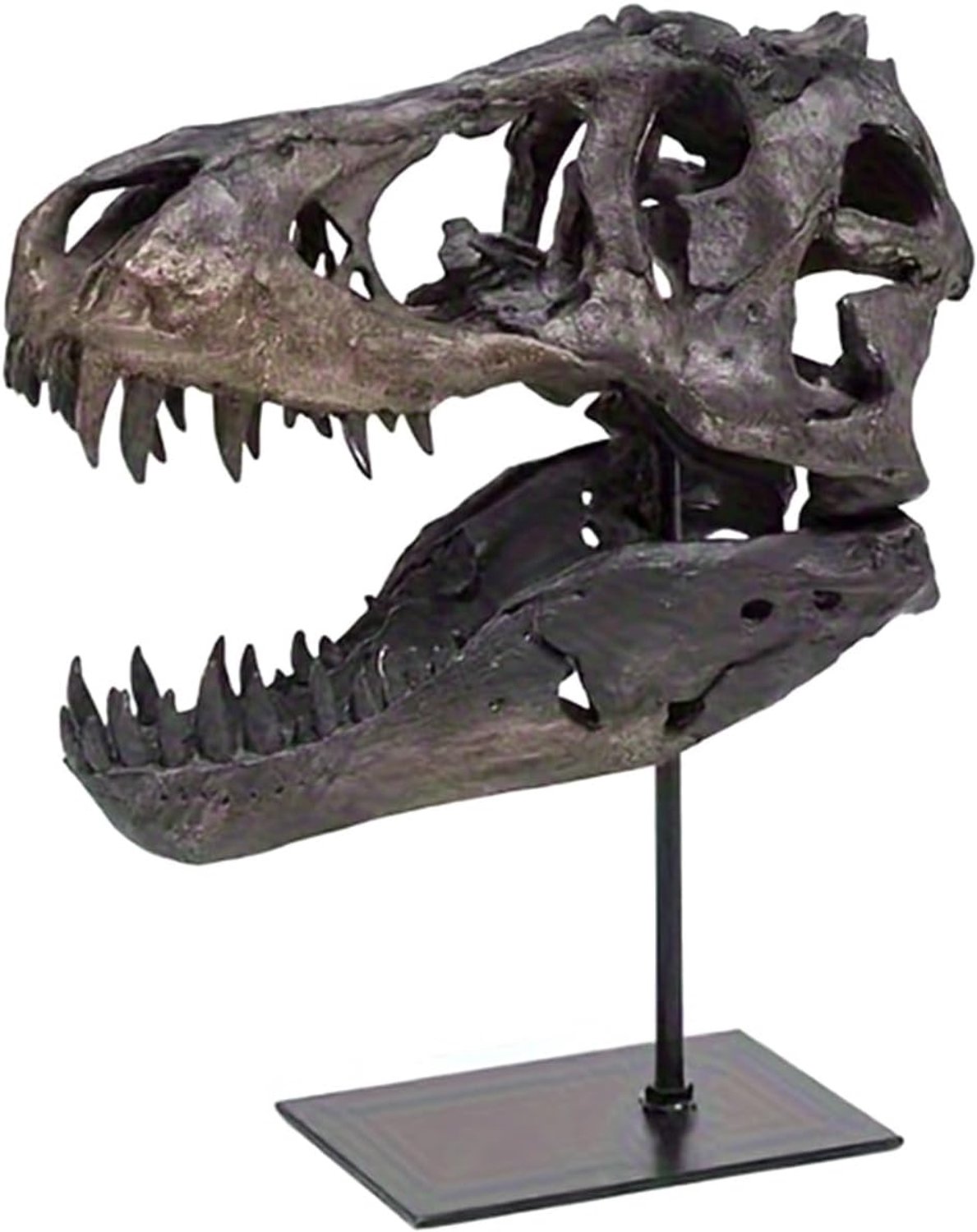 Hars Dinosaurus Schedel Sculptuur, Dinosaurus Tand Schedel Fossiel met Standaard Hoofd Standbeeld Schedel Ornamenten voor Haunted House Thuis Bar Feest Tafeldecoraties, Bruin