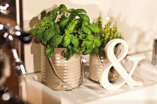 Twee potten met groene kruiden, een zandkleurige pot met geribbelde structuur en een glazen pot.