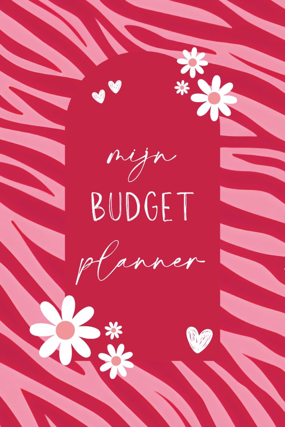 Budget planner - Wekelijks en maandelijks overzicht van inkomsten en uitgaven inclusief leuke uitdagingen om geld mee - ShopVlot
