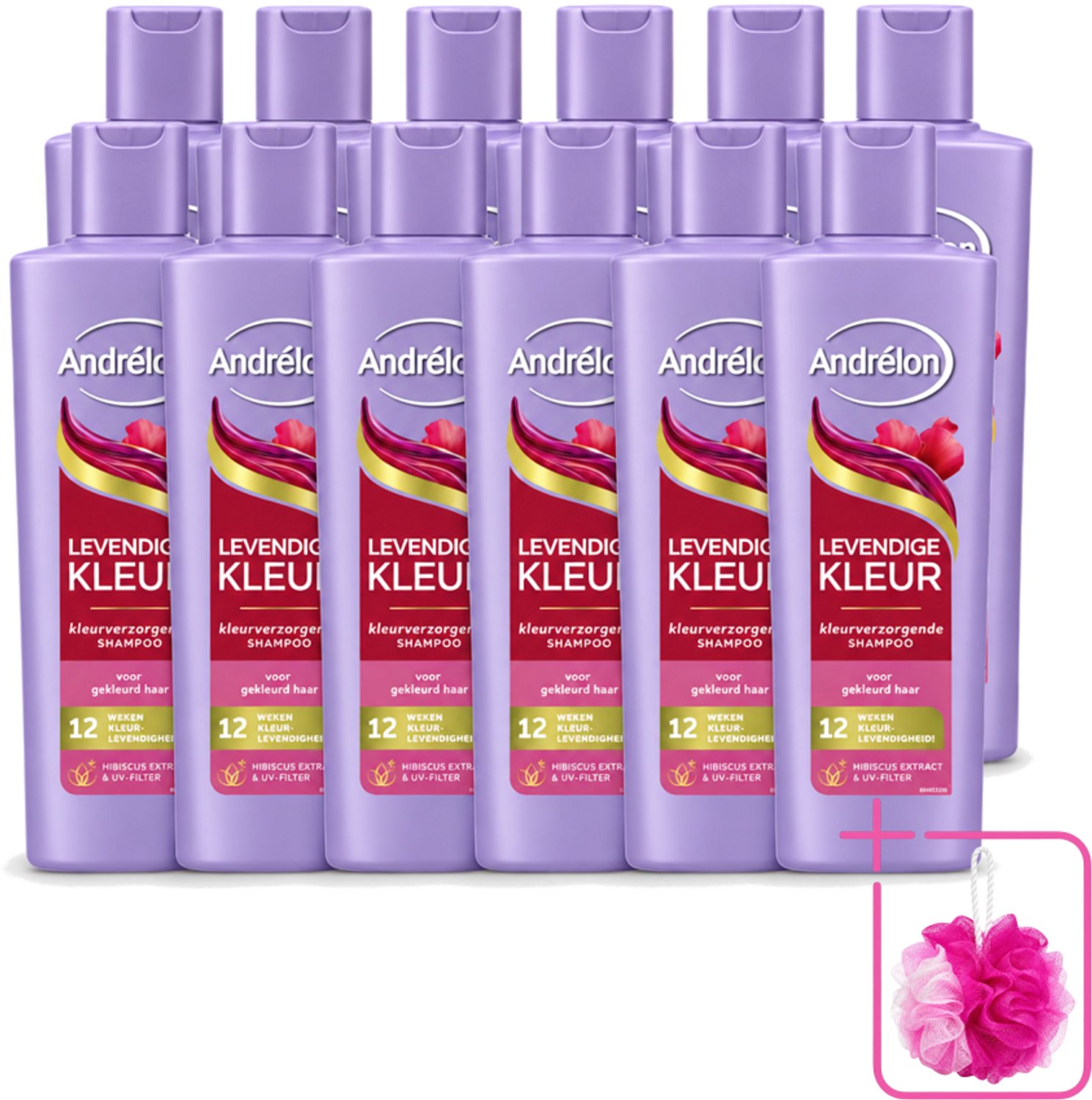 12 x Andrélon – Shampoo – Levendige Kleur – 250 ml - Bulkverpakking - Kleurbehoud haar - Douchemop - Hibiscus shampoo