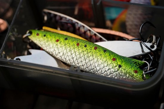 Abu Garcia Toby Lepel Vis-Aas | Legendarische Roofvis Blinker | Zilver 5.7cm — afbeelding 5