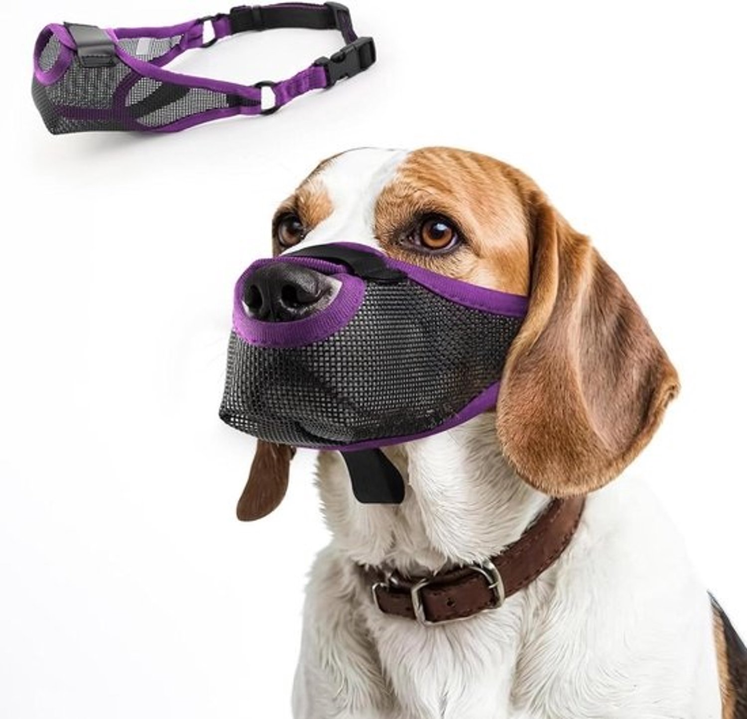 Hondenmuilkorf - Hondenmasker - Ongewenst gedrag beperken - Ademend ontwerp - Verstelbaar - Paars