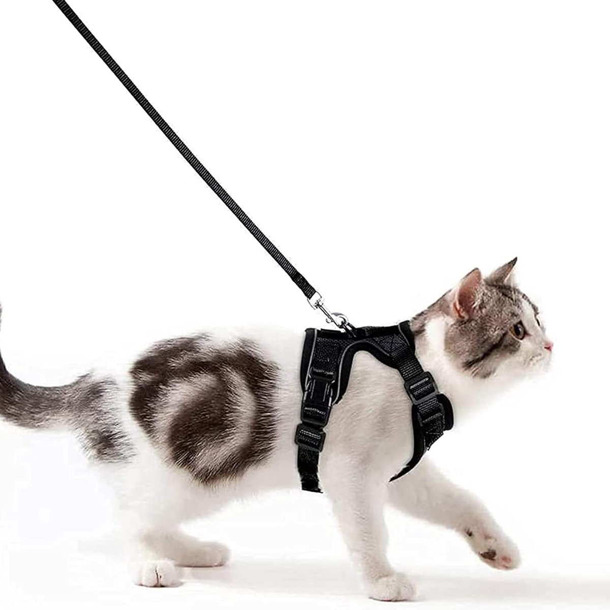 Kattenharnas met riem, anti-ontsnapping, set met verstelbare zachte kattenriem met reflecterende strepen, borstharnas voor kleine kitten, zwart, XS