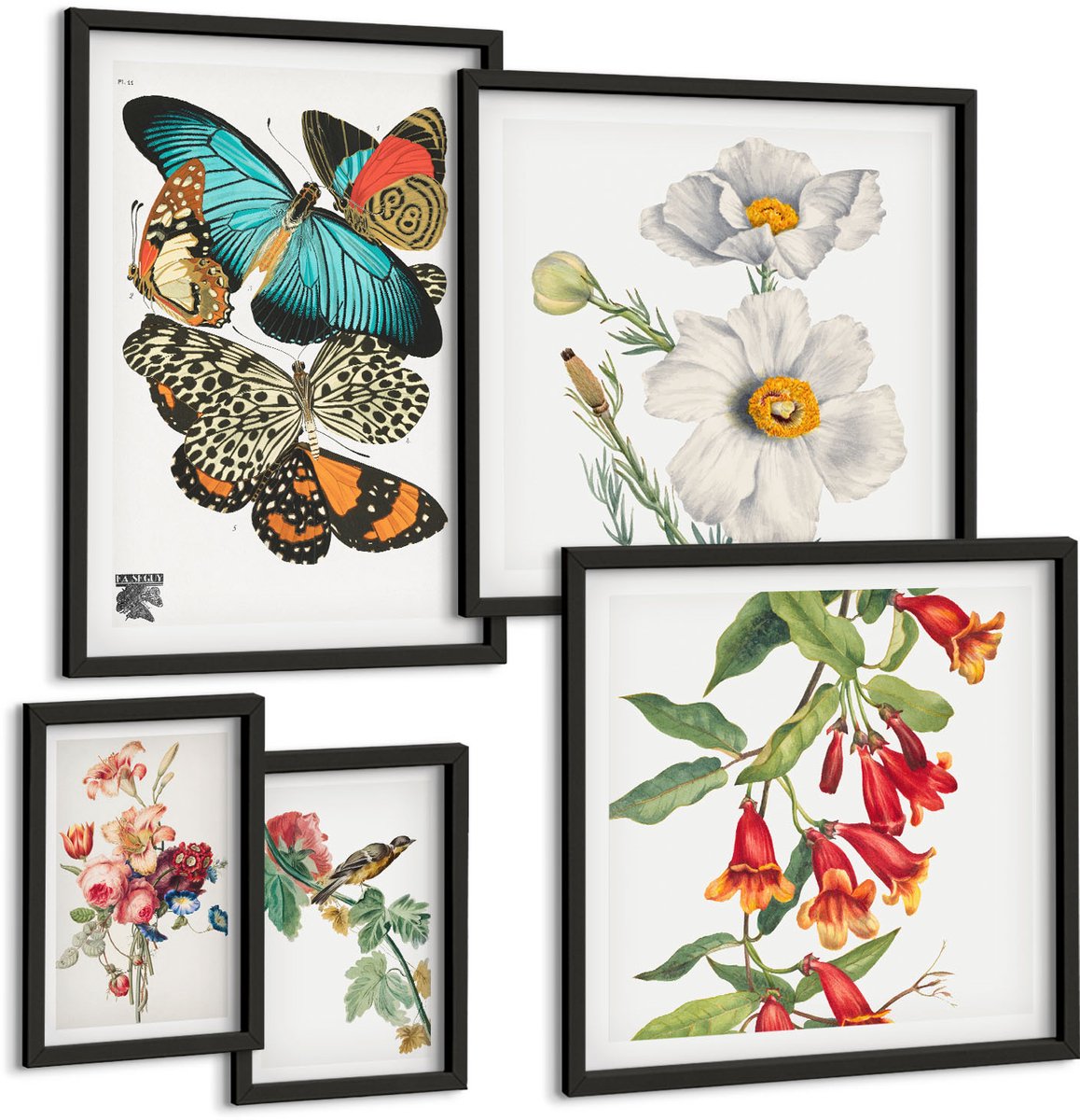 Coloray 5-Delige Schilderij Set - Vintage Wanddecoratie Met Bloemen, Vlinders En Vogels. - 50 x 50 cm, 20 x 30 cm En 40 x 60 cm - Stijlvolle Muurdecoratie - Kantoor - Interieur Decoratie