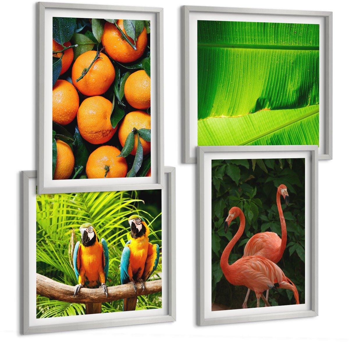 Coloray 4-Delige Schilderij Set - Fruitige Accenten Met Papegaaien En Flamingo'S In De Tropen - 40 x 40 cm En 40 x 60 cm - Muurdecoratie - Wanddecoratie - Slaapkamer - Interieur Decoratie