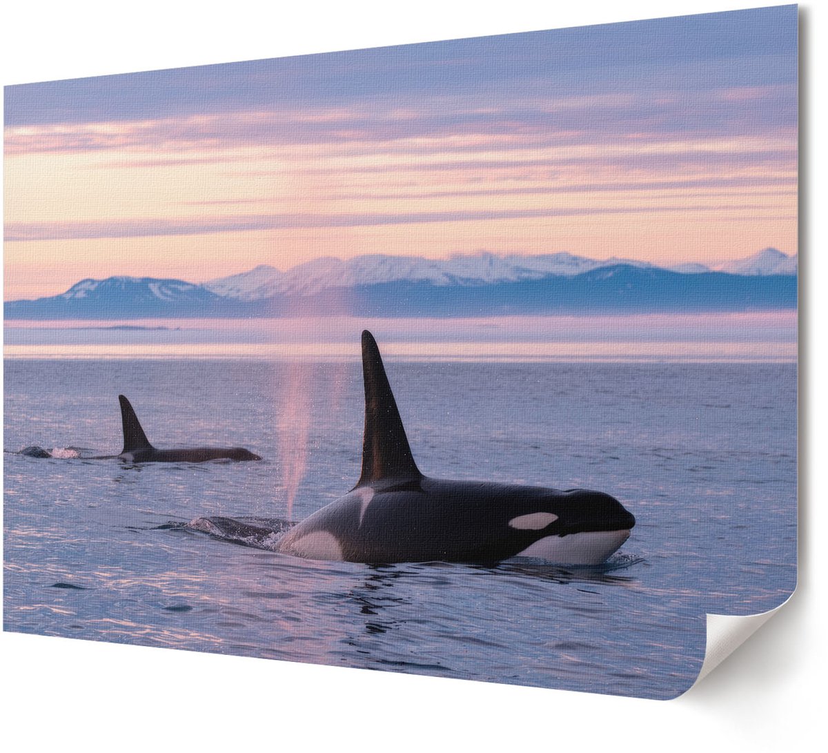 Coloray Polycanvas Poster - Tropisch Strand, Fotografie - A4 - Groen Wandposter - Rechthoek - Decoratieve poster - Woonkamer, Slaapkamer, Kantoor - Modern