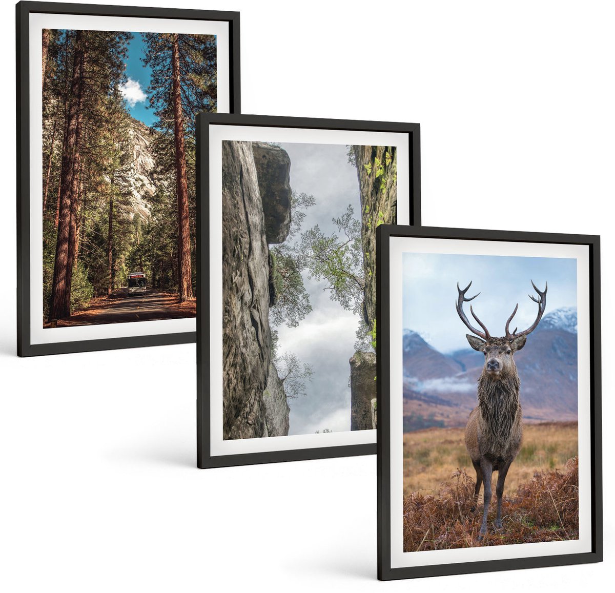 Coloray 3-Delige Schilderij Set - Weg Door Het Bos, Bergen En Herten In De Natuur. - 40 x 60 cm - Wanddecoratie - Schilderijen Set - Kantoor