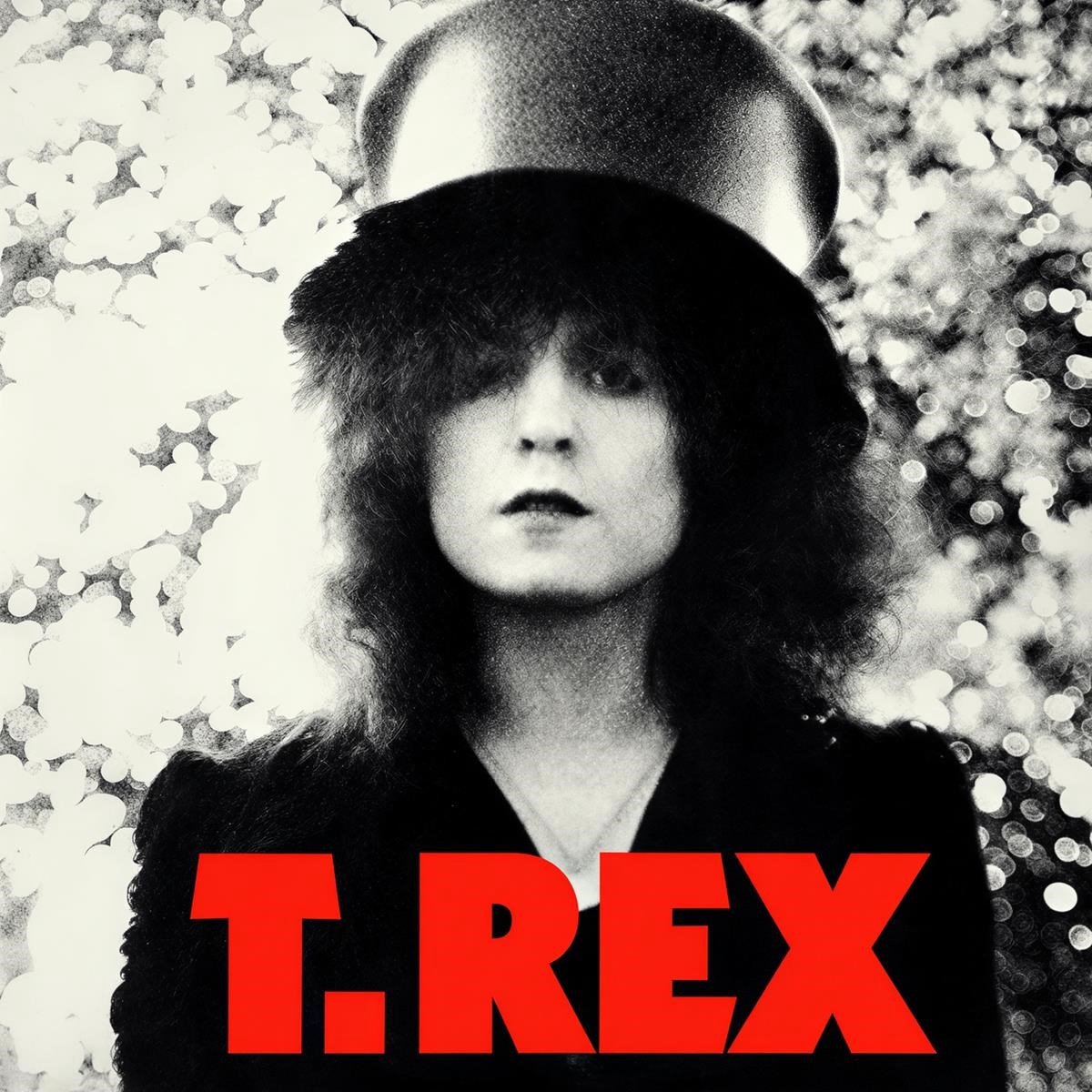 T. Rex - The Slider