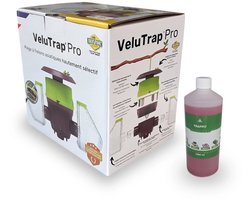 VeluTrap Pro Aziatische hoornaarval BeeVital + Trappit lokstof 1 liter