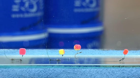 Carpvissen Wafters 8-10mm - 4 Verschillende Vormen - Gematigde Drijfvermogen - Perfect voor Traditioneel Vissen - ShopVlot — afbeelding 2