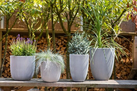 Vier planten in gestreepte grijze plantenbakken op een houten tafel buiten. Van links naar rechts: paarse bloemen, gras, kleine groene plant, hoge plant.