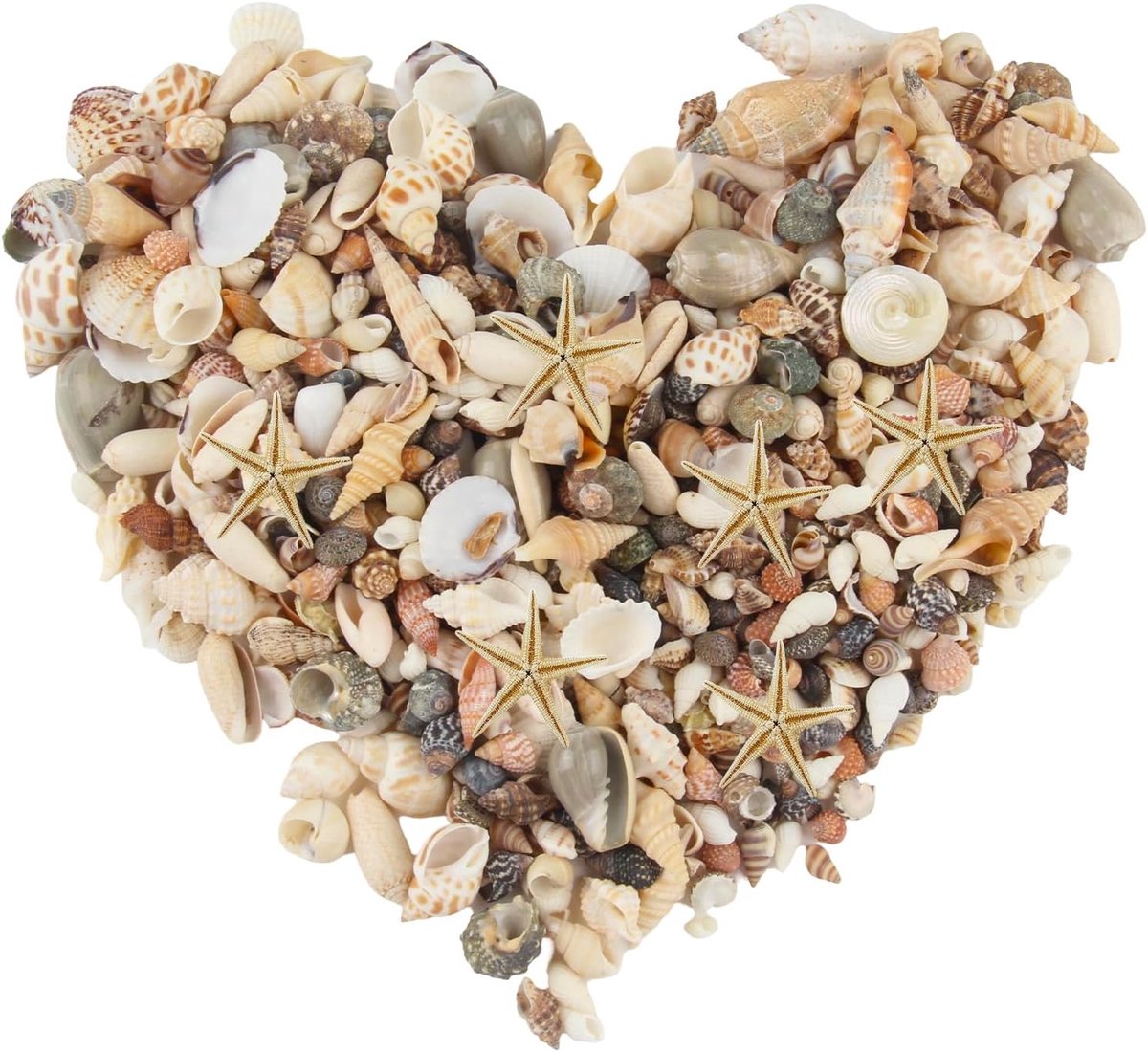 250 g gemengde schelpen, decoratie, 10 zeesterren, natuurlijke kleine schelpen om te knutselen, ongeboorde schelp, decoratie voor vaas, vulpen, strand, themafeest, thuis, bruiloft, decoratie