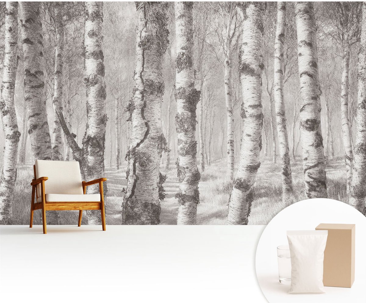Wallfluent Fotobehang - Grijs Vliesbehang - 416x254 cm - Berkenbos Fotobehang Vlies - Hal behang Landschappen - Muurschildering - Woonkamer behang
