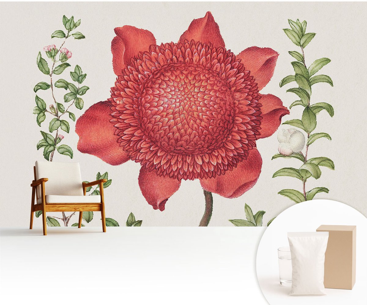 Wallfluent Fotobehang - Rood Vliesbehang - 416x254 cm - Bloemige Elegantie Fotobehang Vlies - Woonkamer behang Bloemen En Planten - Muurschildering - Hal behang