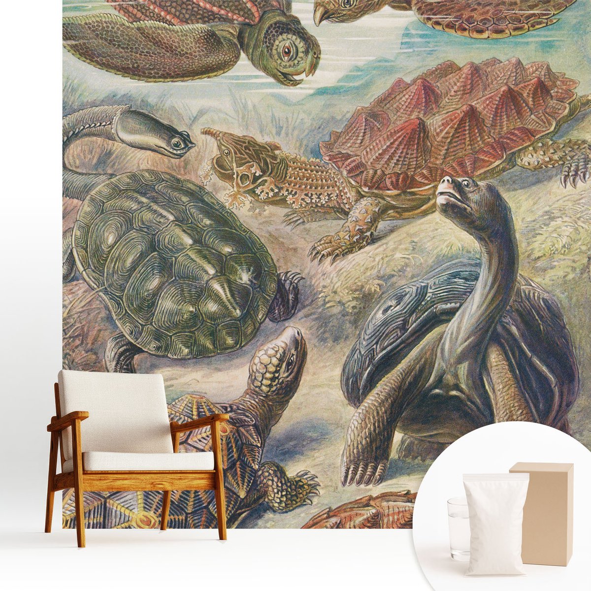 Wallfluent Fotobehang - Groente Vliesbehang - 250x250 cm - Schildpadfauna Muurschildering - Slaapkamer behang Dieren - Fotobehang Vlies - Slaapkamer behang