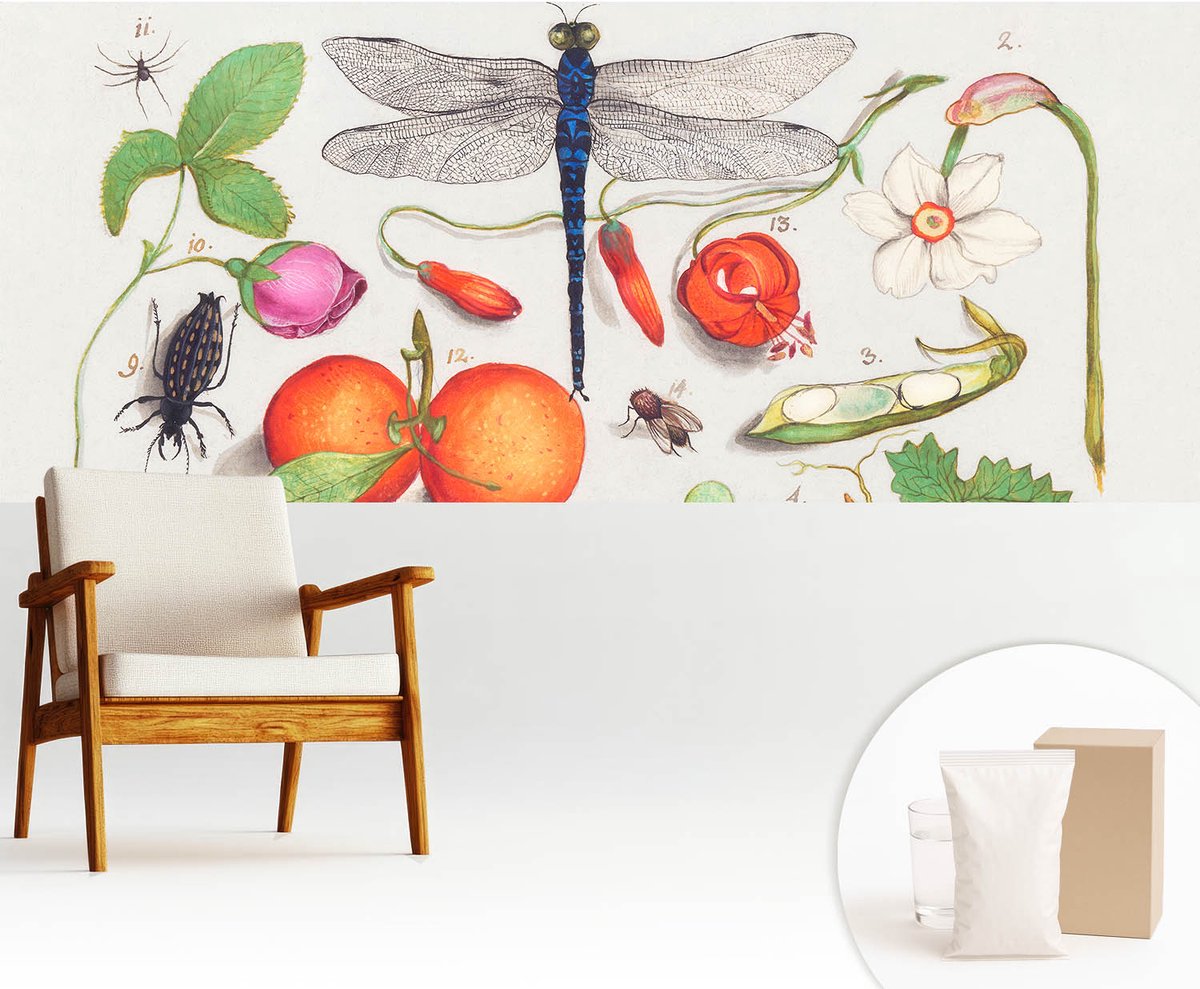 Wallfluent Fotobehang - Wit Vliesbehang - 250x104 cm - Natuurillustratie Muurschildering - Gang behang Bloemen En Planten - Fotobehang Vlies - Slaapkamer behang