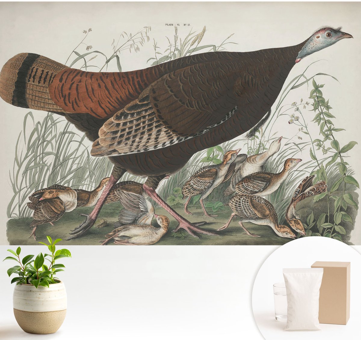 Wallfluent Fotobehang - Bruin Vliesbehang - 104x70 cm - Natuurlijke Harmonie Muurschildering - Gang behang Dieren - Fotobehang Vlies - Gang behang