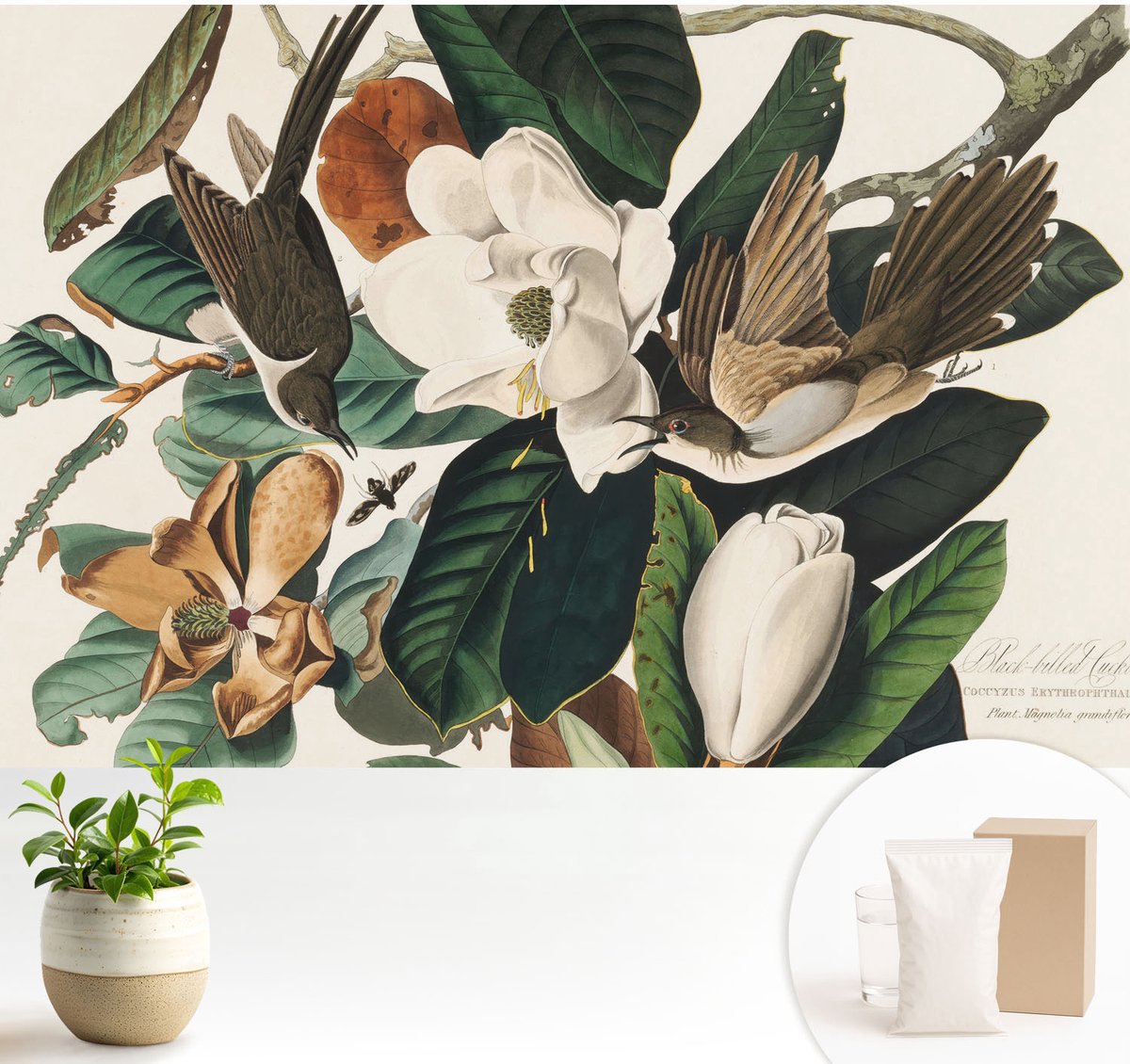 Wallfluent Fotobehang - Groente Vliesbehang - 104x70 cm - Vogels Magnolia'S Muurschildering - Slaapkamer behang Dieren - Fotobehang Vlies - Slaapkamer behang