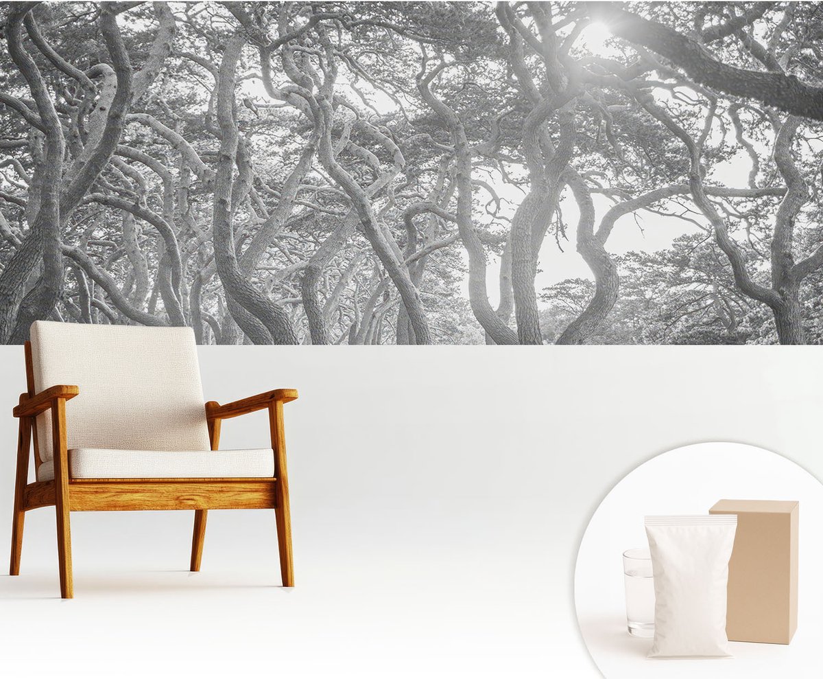Wallfluent Fotobehang - Zwart-Wit Vliesbehang - 250x104 cm - Atmosferisch Bos Muurschildering - Slaapkamer behang Landschappen - Fotobehang Vlies - Slaapkamer behang