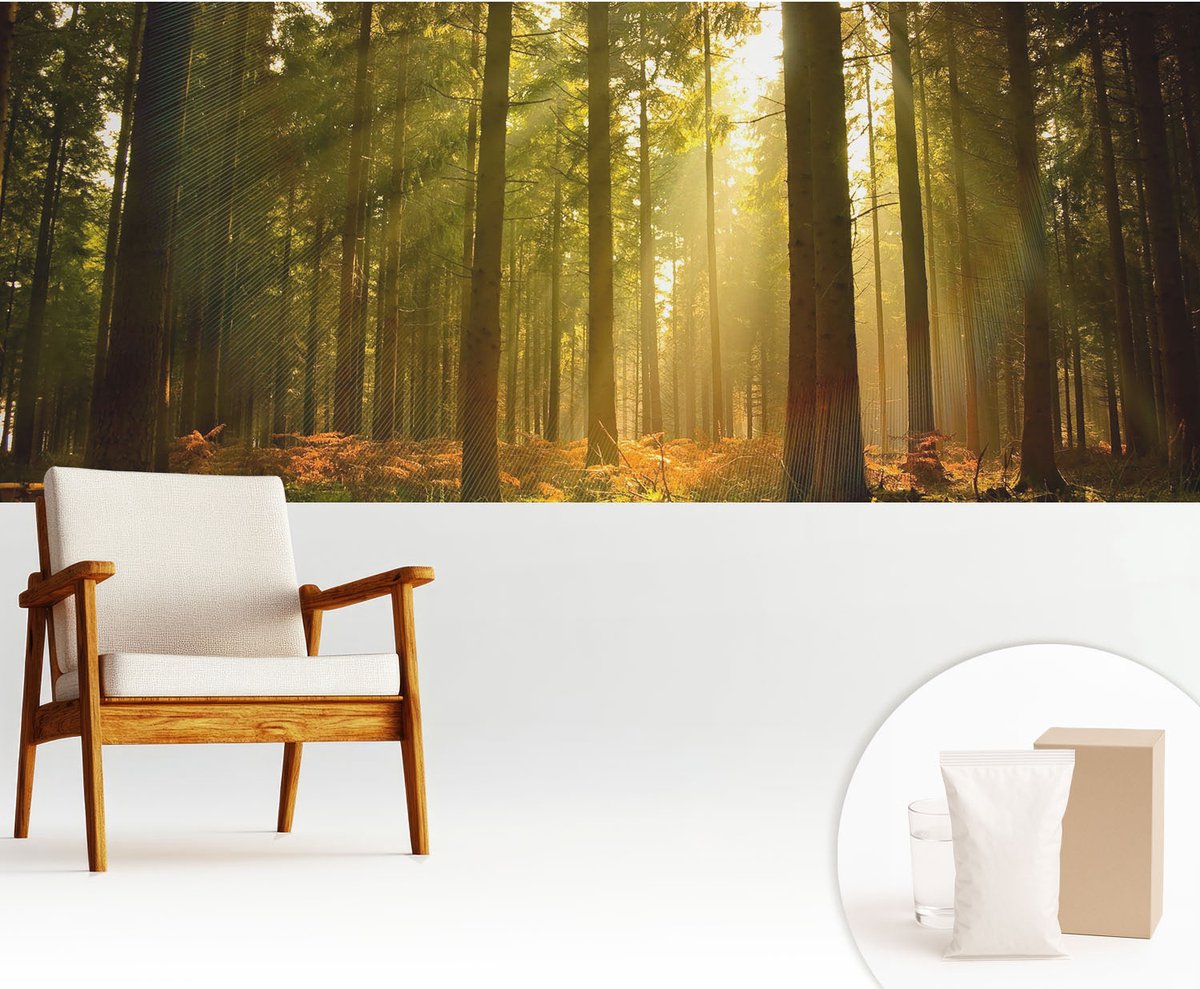 Wallfluent Fotobehang - Groente Vliesbehang - 250x104 cm - Bosochtend Fotobehang Vlies - Woonkamer behang Landschappen - Muurschildering - Woonkamer behang