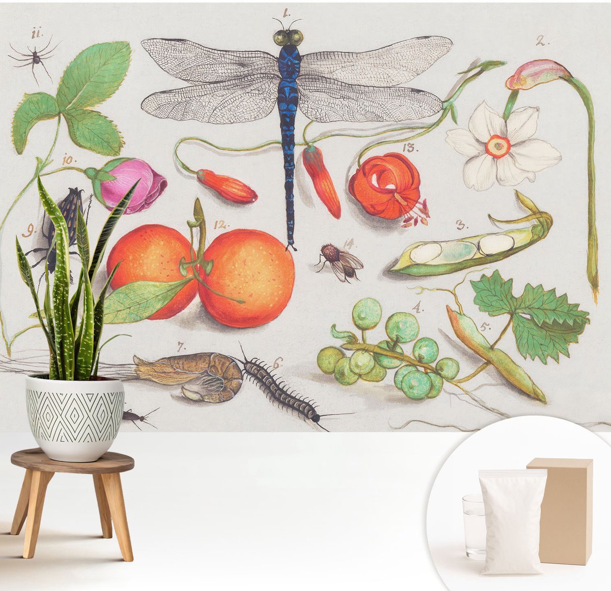 Wallfluent Fotobehang - Wit Vliesbehang - 208x146 cm - Natuurillustratie Muurschildering - Slaapkamer behang Bloemen En Planten - Fotobehang Vlies - Slaapkamer behang