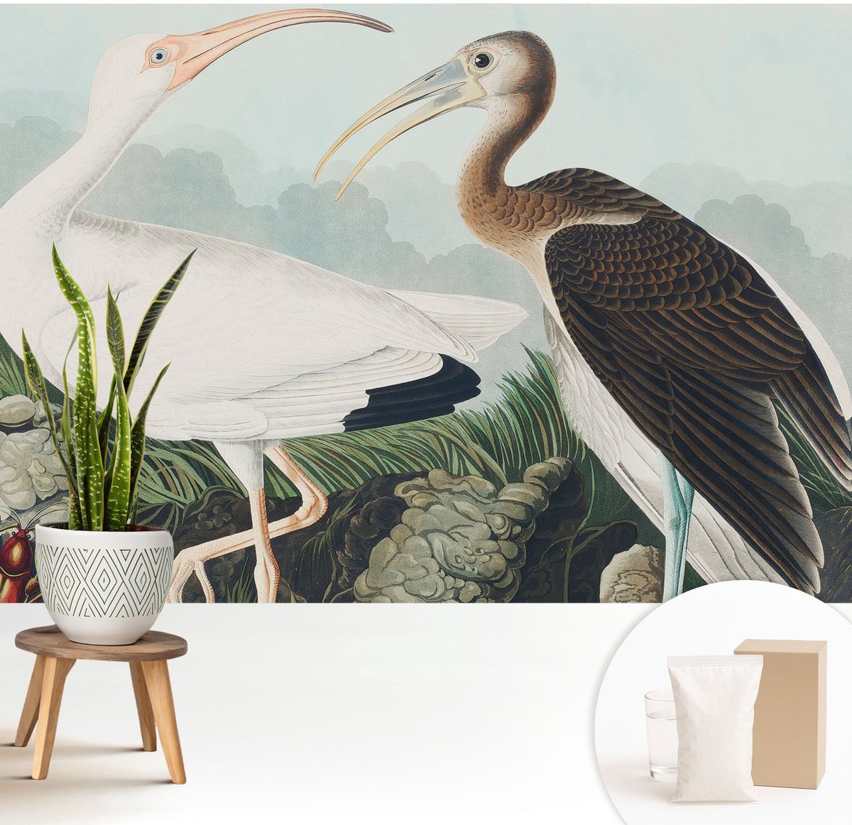 Wallfluent Fotobehang - Wit Vliesbehang - 208x146 cm - Vogelpaar Muurschildering - Gang behang Dieren - Fotobehang Vlies - Slaapkamer behang