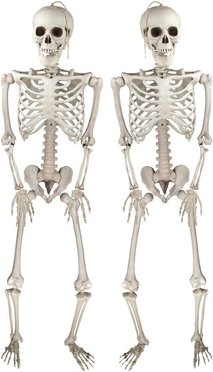 Halloween Deco Realistische Skeletten, 2PCS. Wit Skeletten Decoraties Staand voor Binnen en Buiten, Decoraties Halloween Feest Accessoires
