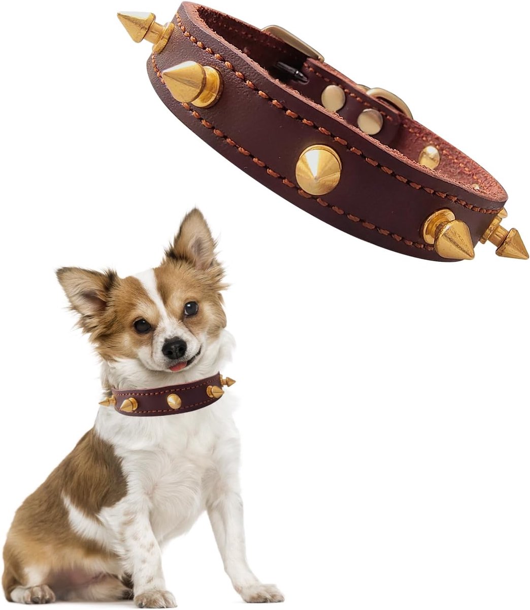 Halsbanden voor honden en katten, zacht, leer, punkriem, verstelbaar, klinknagel, met punten, geschikt voor kleine honden, XS