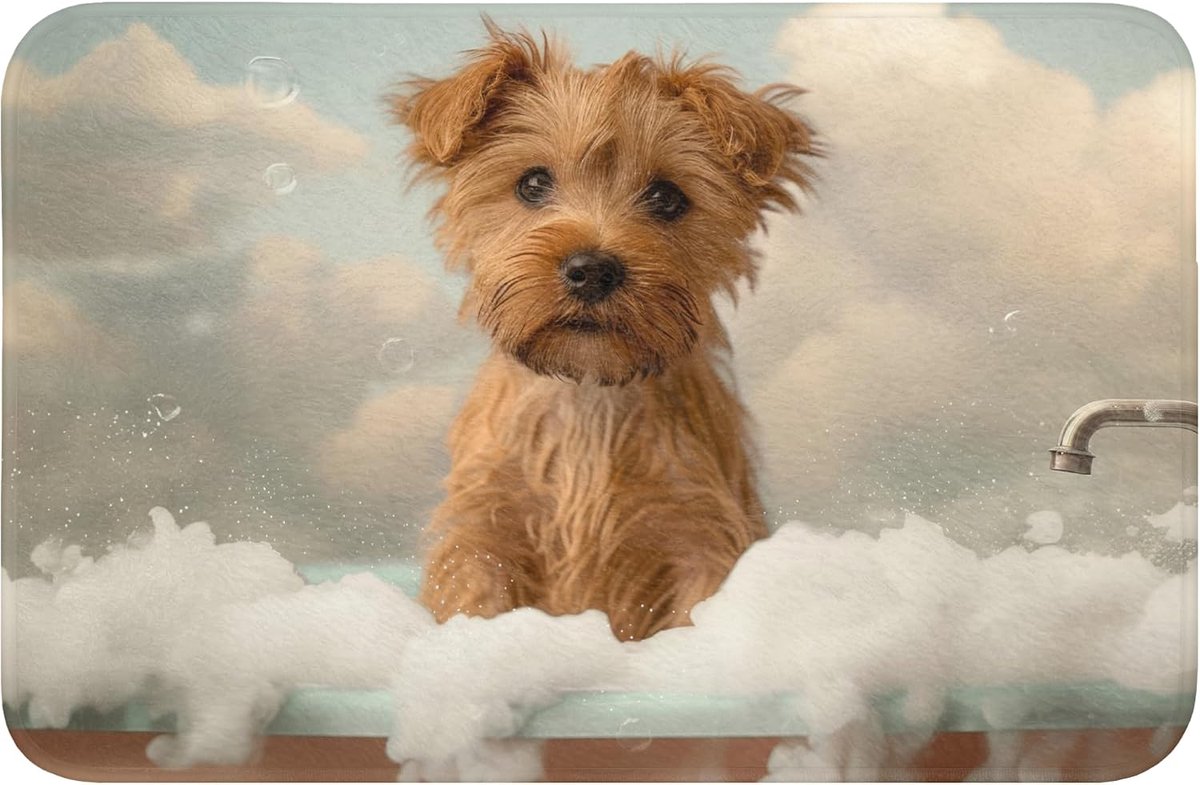 Badmat Rechthoekig 60x40 cm Badkamer Accessoires Bath Mat Anti Slip Wc Memory Foam Wasbaar Zacht Bathroom Toilet Mats Washable Hond - Bad - Dieren - Schuim