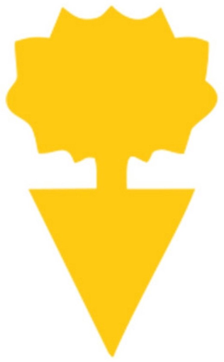 Rouwvliegjes Bestrijden - 12 stuks - Fruitvliegjes Vanger - Varenrouwmug Bestrijden - Vliegenvanger - Plak Klavertjes Tegen Rouwvliegen - Dubbelzijdige kleverige val - Tuinieren vliegenvallen