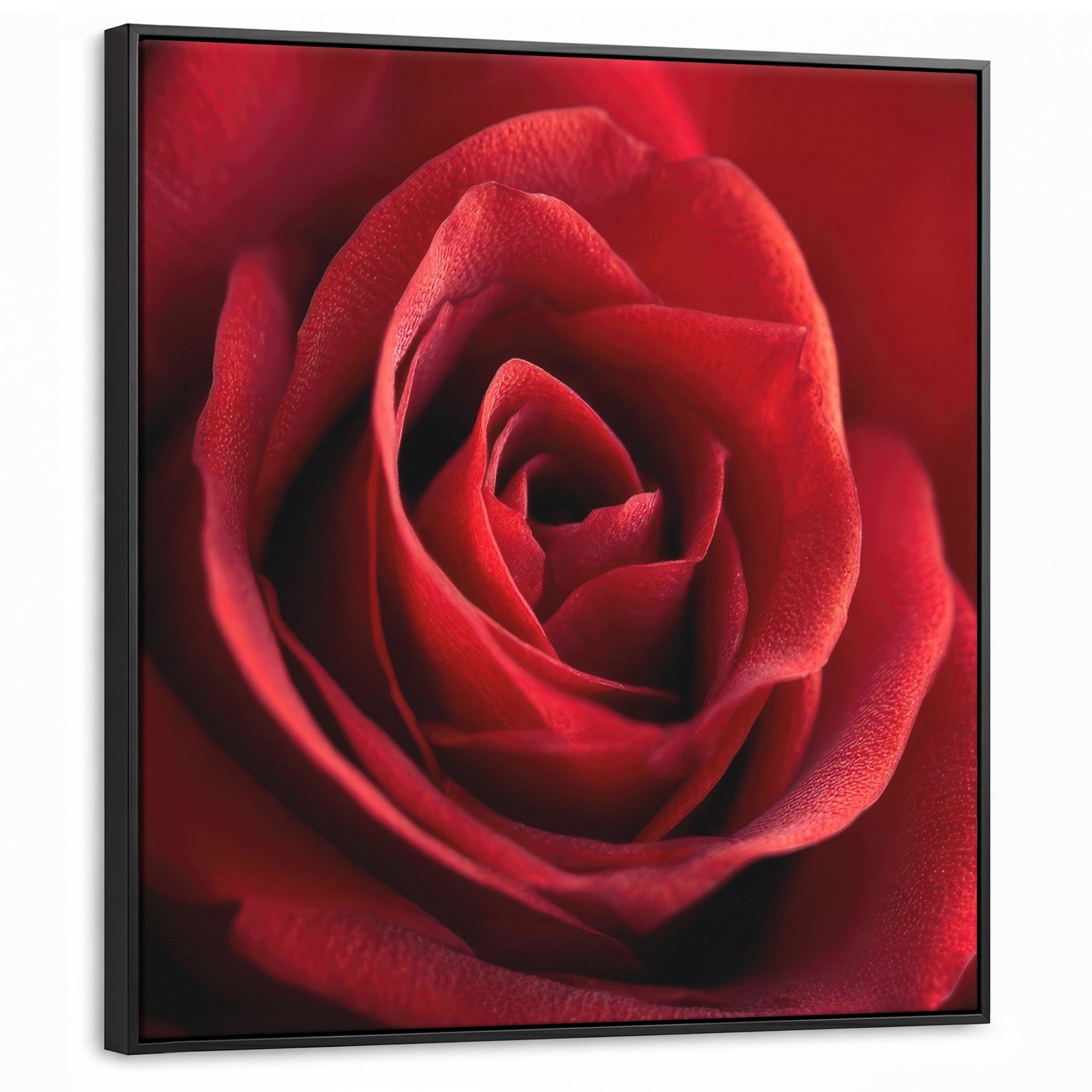 Canvas Schilderij met Baklijst 90x90cm - Rood - Roos - Romantisch - Muurdecoratie woonkamer - Slaapkamer decoratie - Kamer accessoires - Schilderijen op canvas met lijst