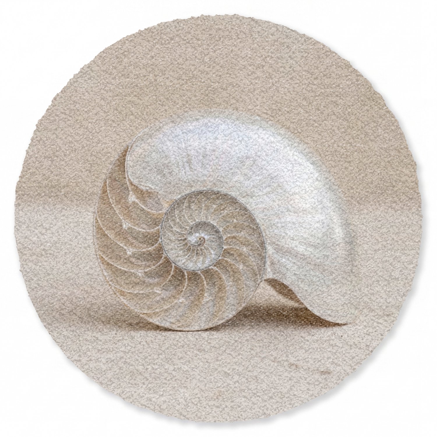 Deurmat rond 90x90 cm - Droogloopmat Schelp - Spiraal - Beige - Mat voor binnen - Schoonloopmat - Ronde deurmatten met print - Inloopmat