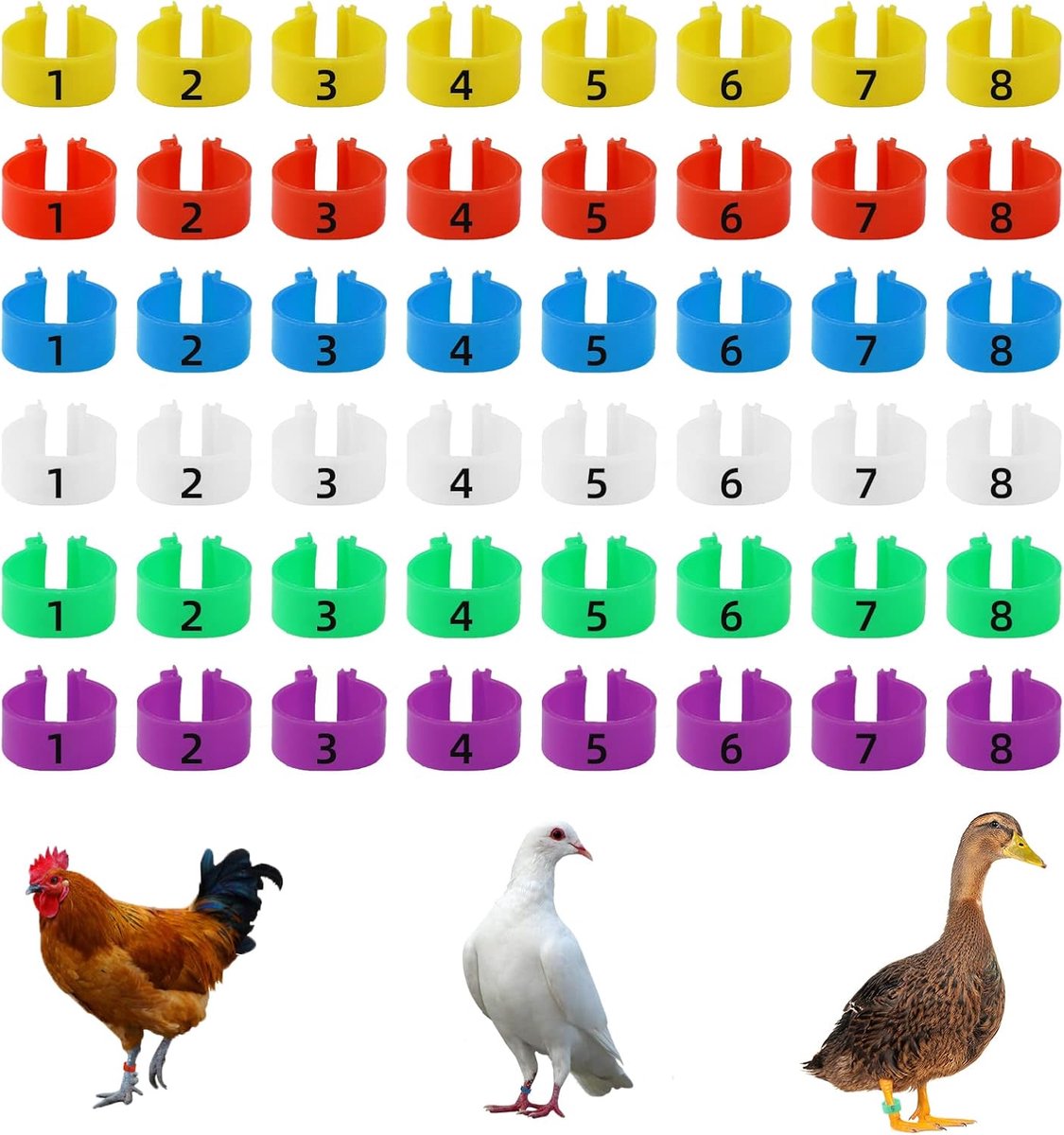 Ringen meerkleurige kippenidentificatie beenbanden genummerde clip aan gevogelte beenringen voor gamefowl, kalkoen, eend, gans, Guinea (16 mm)