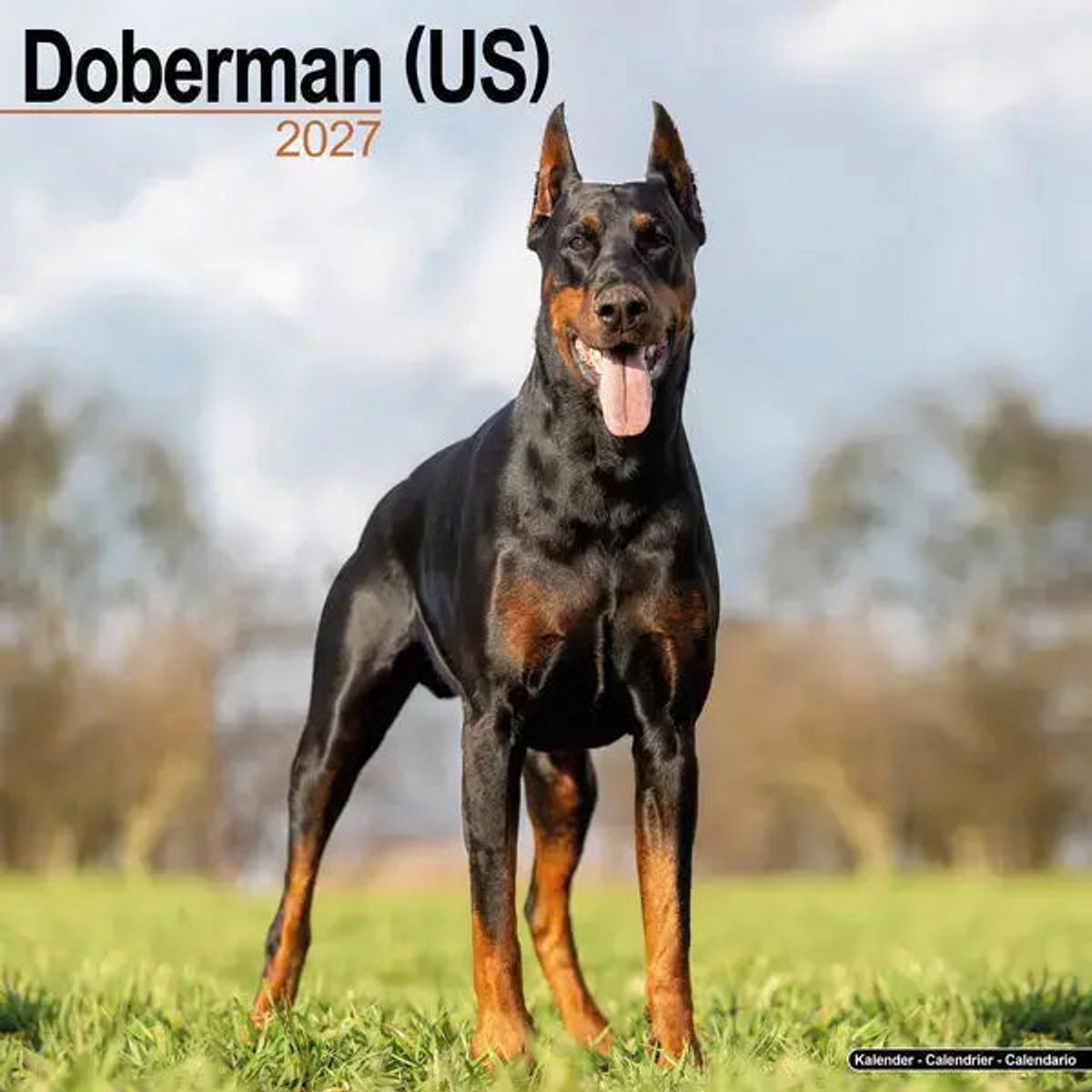 Dobermann Kalender 2027
