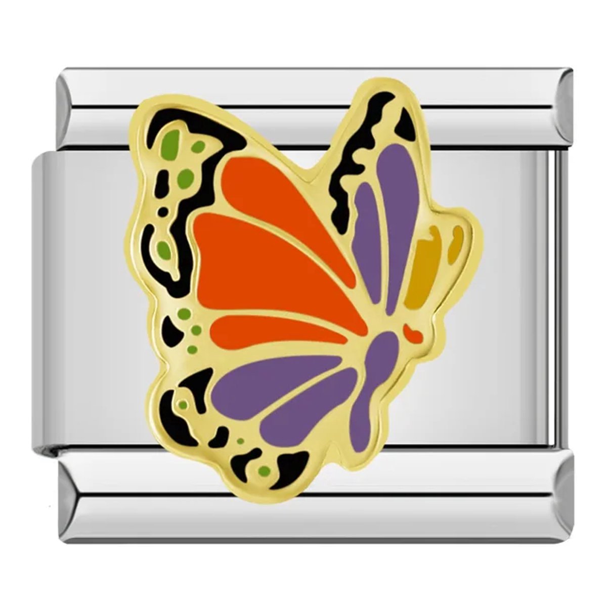Beautiful Butterfly
